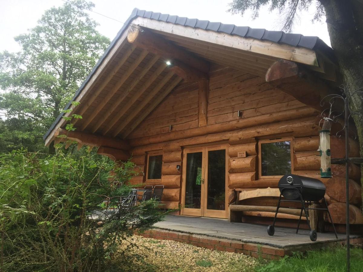 Ewes Water Log Cabins Langholm Ngoại thất bức ảnh